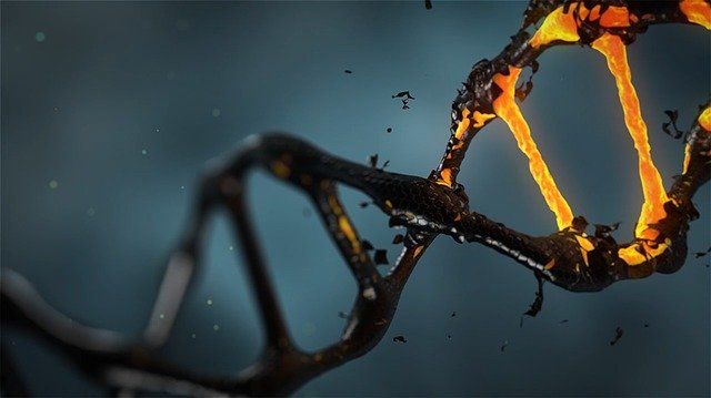 मनुष्य के DNA में छिपी है बहुत ही महत्वपूर्ण जानकारी।