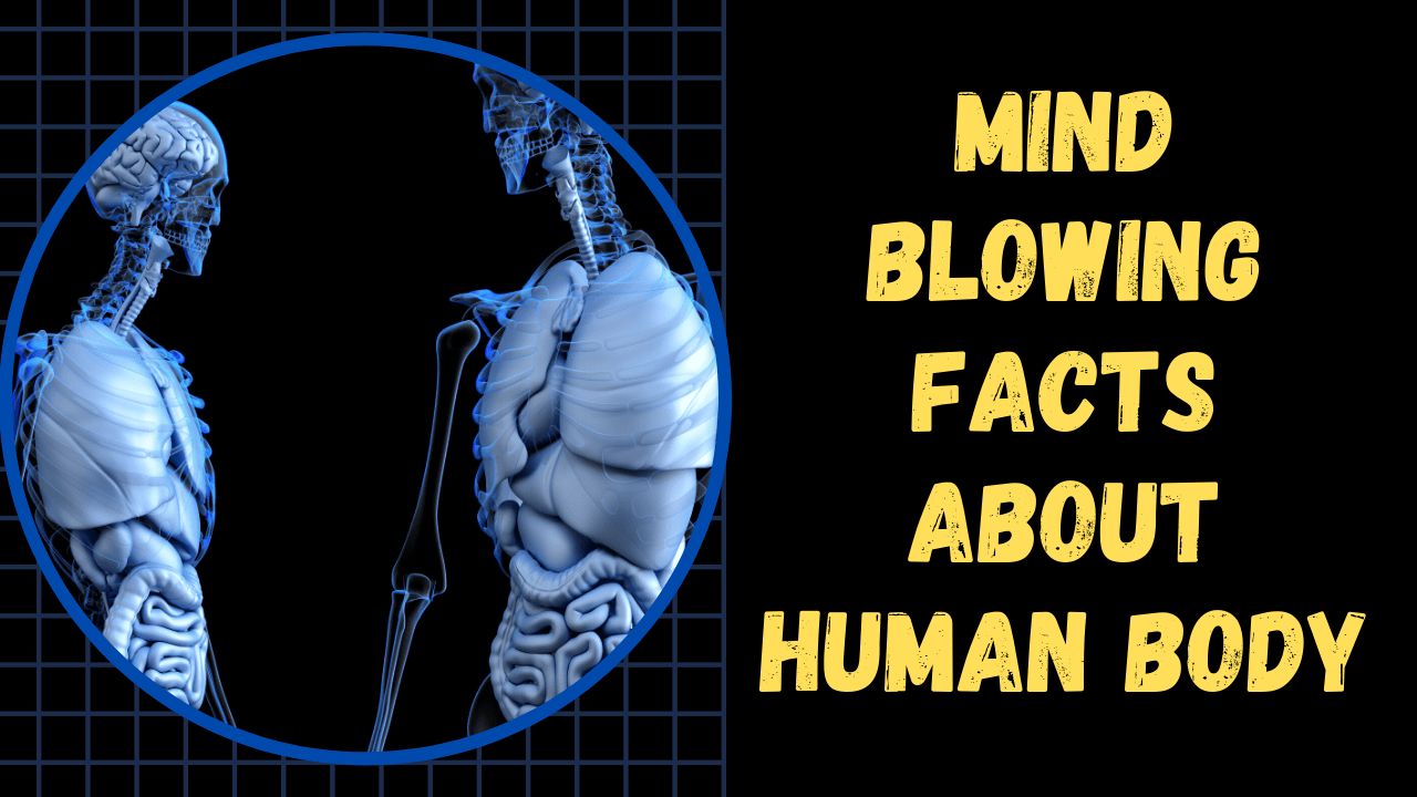 Mind blowing facts about human body.